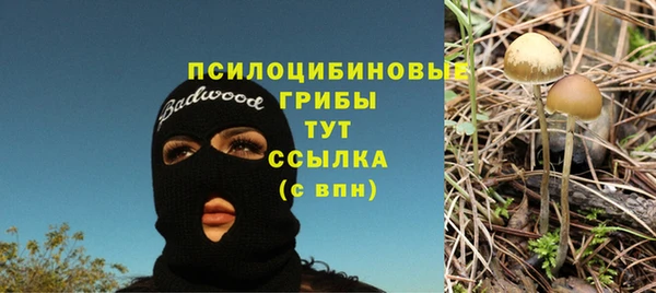 марки lsd Корсаков