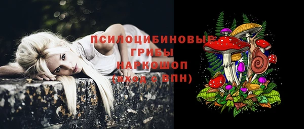 марихуана Коряжма